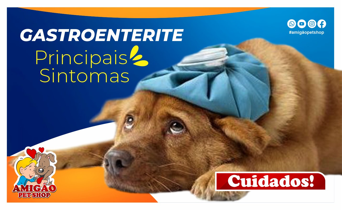 Pet Shop Perto Centro - Pet Shop com Cromoterapia - Care Pet