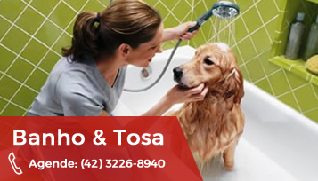 Pet Shop Perto Centro - Pet Shop com Cromoterapia - Care Pet